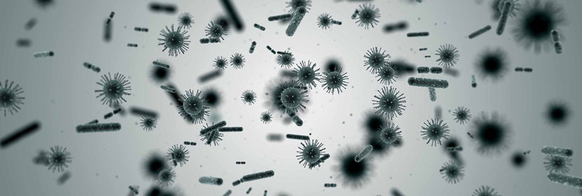 農(nóng)藥殘留檢測(cè)